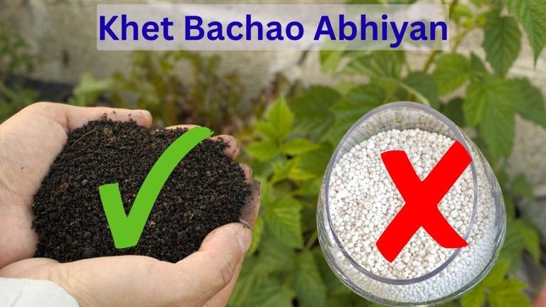 9.42 lakh farmers join Khet Bachao Abhiyan as government pushes balanced fertiliser use